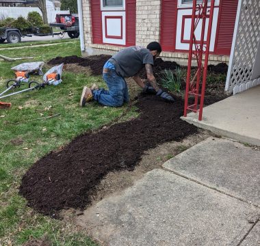 Mulch installation