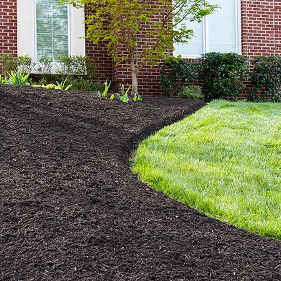 Mulch Installation