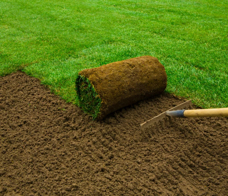 Sod installation