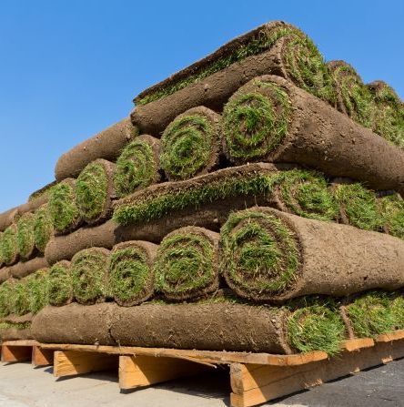 Sod rolls